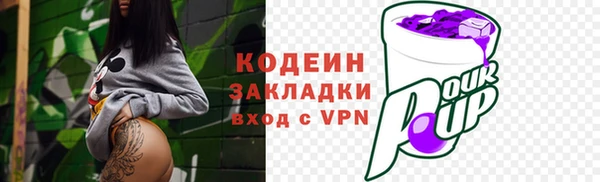 дмт Кодинск