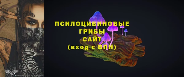 дмт Кодинск