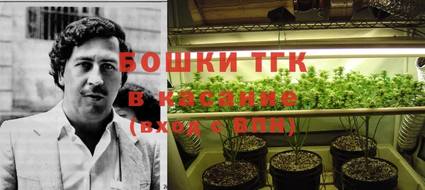 дмт Кодинск
