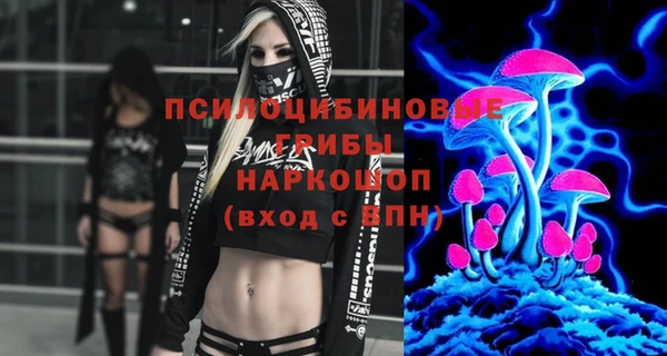 дмт Кодинск